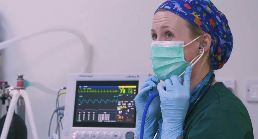 Linnaeus veterinary nursing film