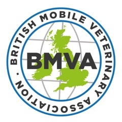 BMVA logo