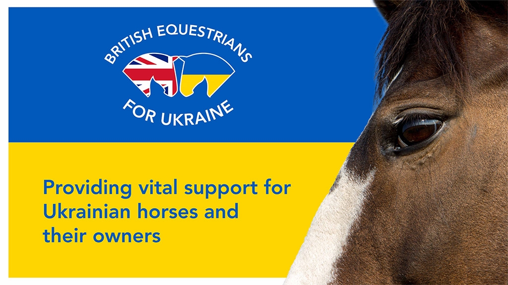 Horse head superimposed over Ukrainian flag colours