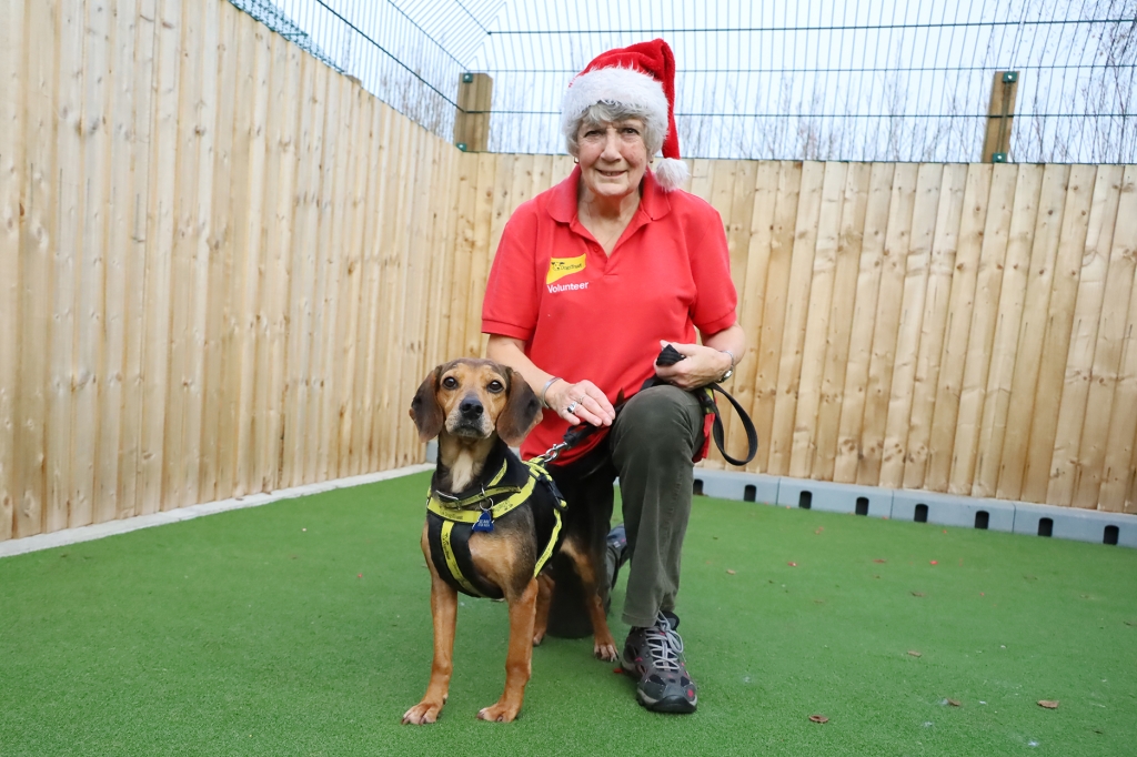 Volunteer Laundry Assistant Evelyn Grice with Beagle Cross Ella