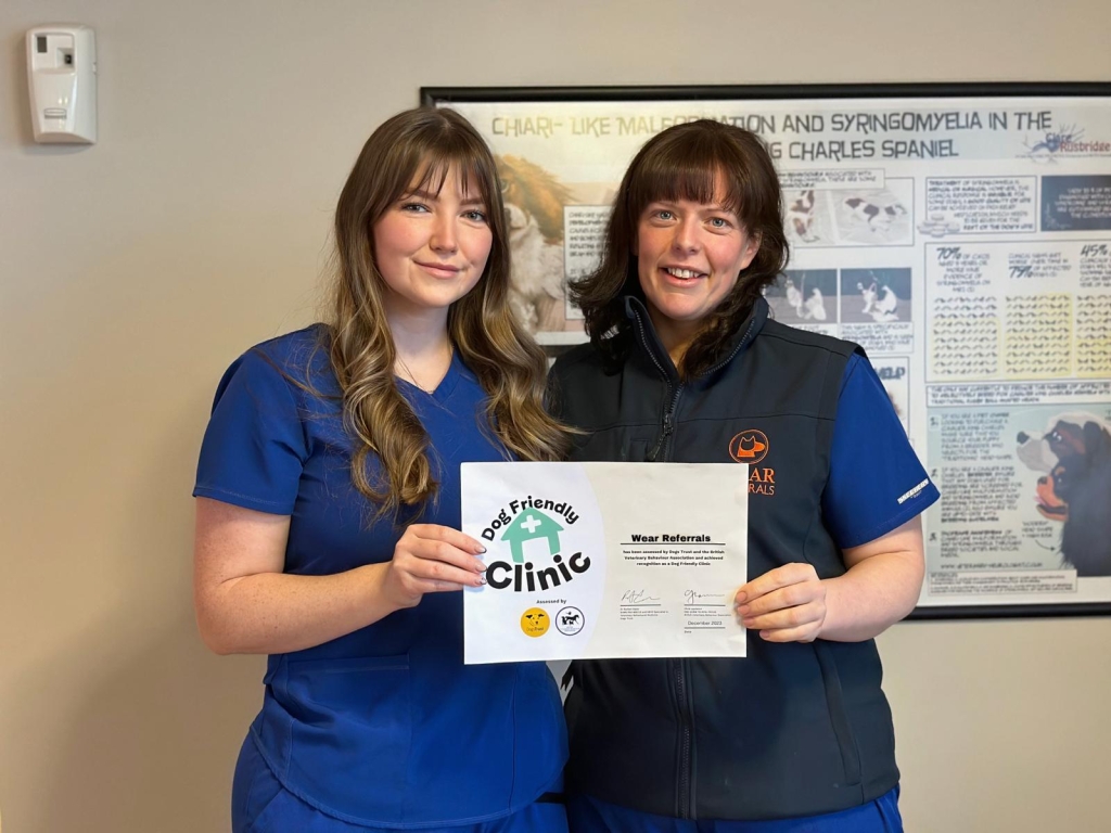 Wear Referrals in County Durham has been honoured with a prestigious award for its high quality of care for dogs. 