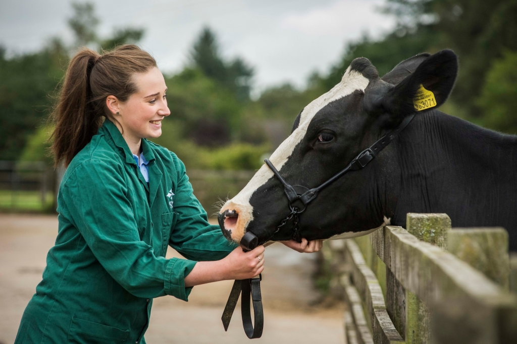 Scotland set for first new vet school in 150 years / Veterinary Industry News / VetClick