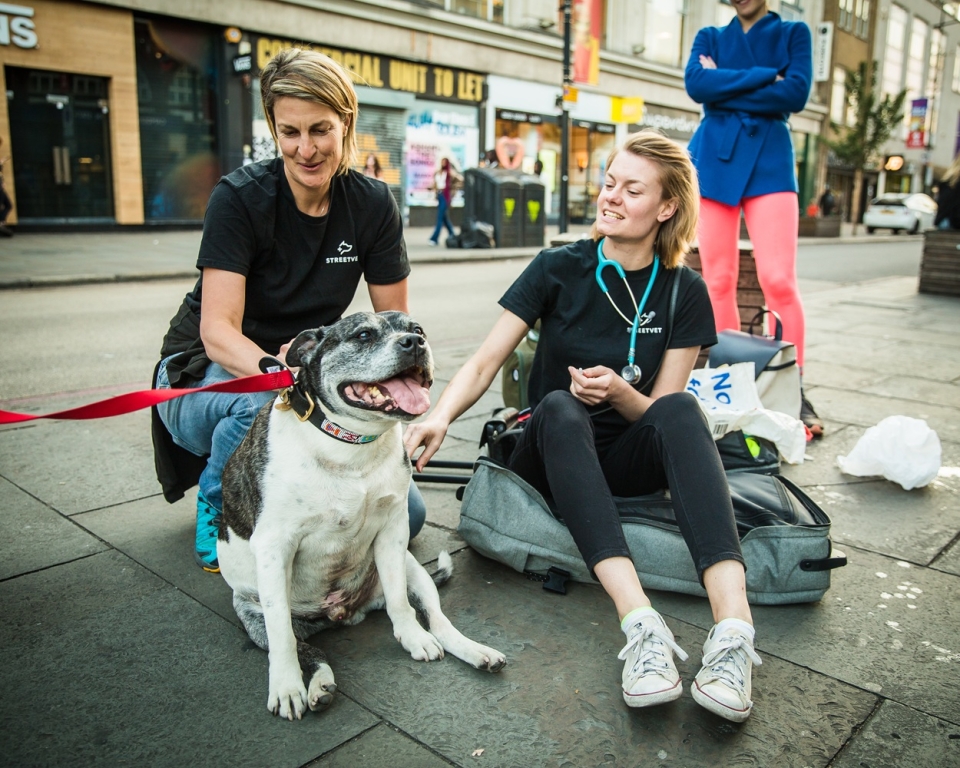 CVS partnered with the assistance dogs charity for one year as its Charity of the Year