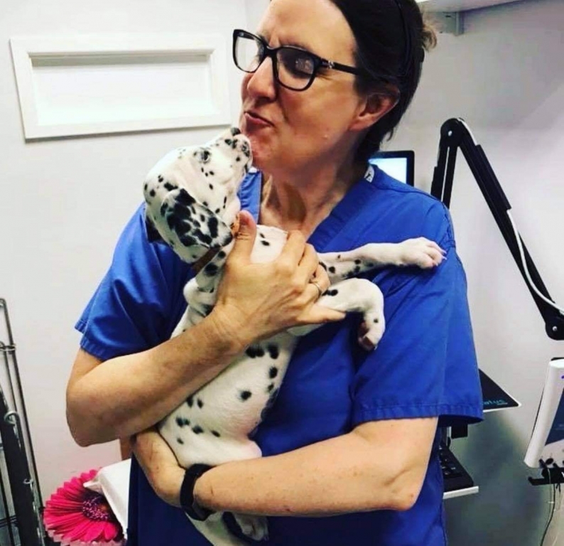 Julia Freeman with a young Dalmatian patient. Please credit Oliloudalmatians