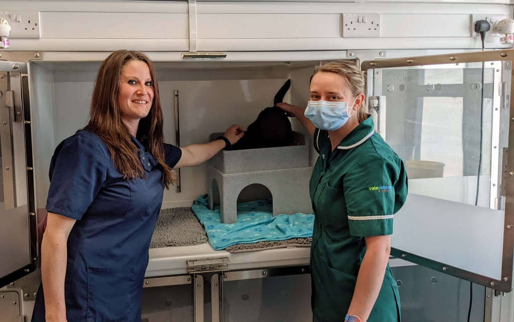 The animal hospital based in Dursley has received a special accreditation thanks to all the hard work by Sian Blakey and her team.