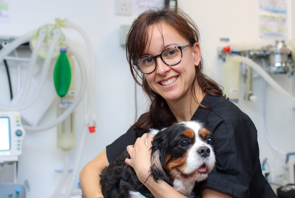 Neurology Specialist Rocio Orlandi has joined ChesterGates Veterinary Specialists