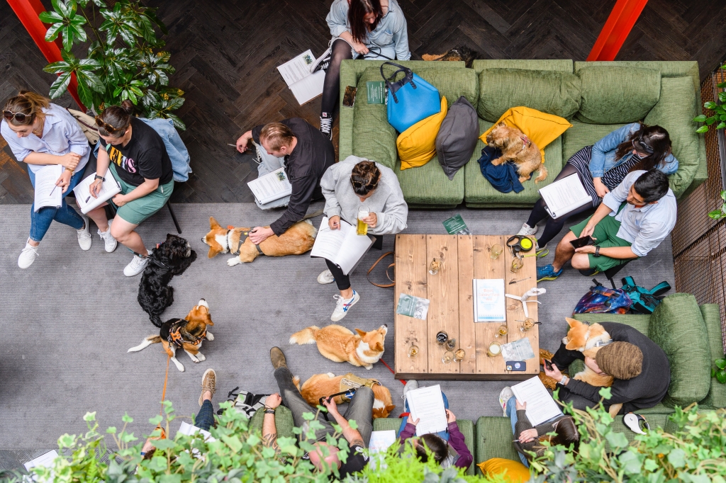 Canine first aid training