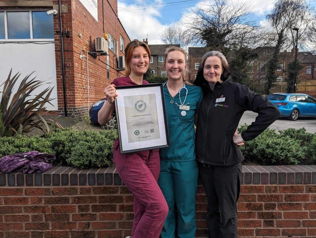 Registered veterinary nurse Bethany Allen, MRCVS Madeleine Ovenden and client care team leader Sarah Reed.