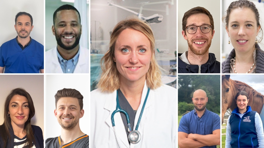 Nine new diplomates join ivc evidensia referrals network
