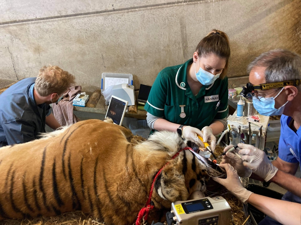 Gerhard Putter and Hannah Morgan