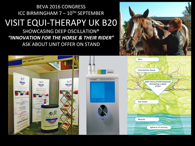 DEEP OSCILLATION for the horse and their rider, Stand B20