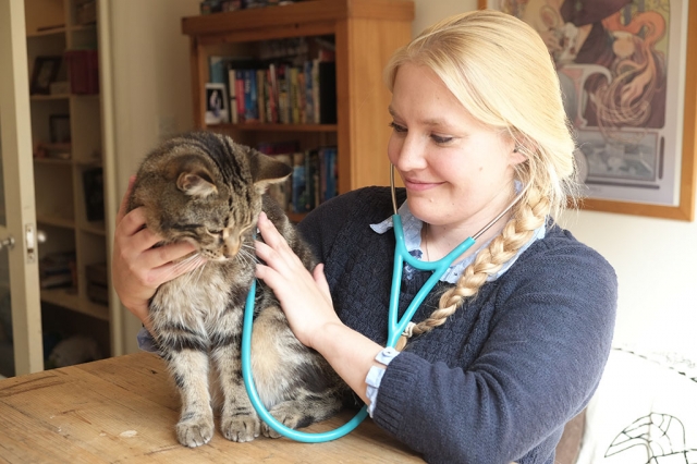 Martha treating a cat in Edinburgh