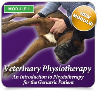 An introduction to physiotherapy