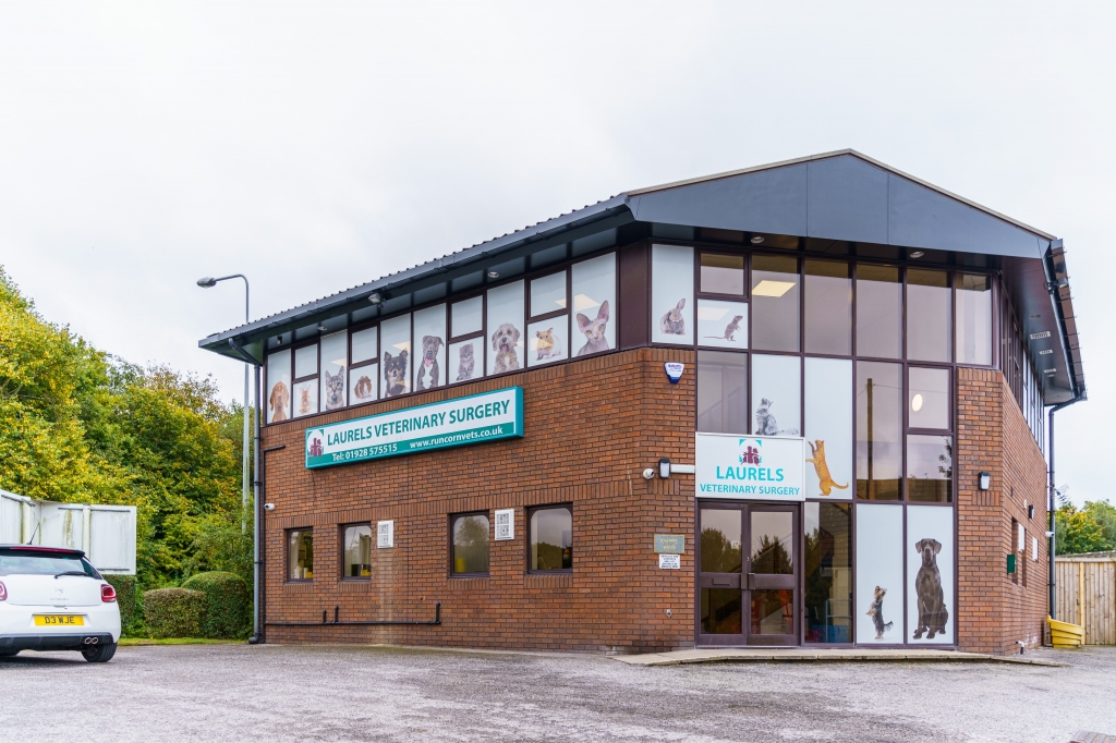 Laurels Veterinary Surgery has reopened following a makeover