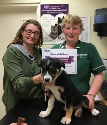 Left to right:  Angie Scullion and Sarah Clarke, Head Nurse at Okeford Veterinary Centre, with Cassie
