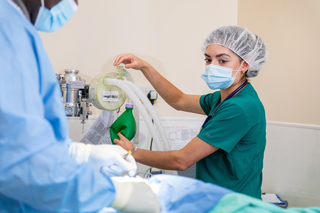 CVS has launched a Level 5 Diploma in Advanced Veterinary Nursing (ECC)