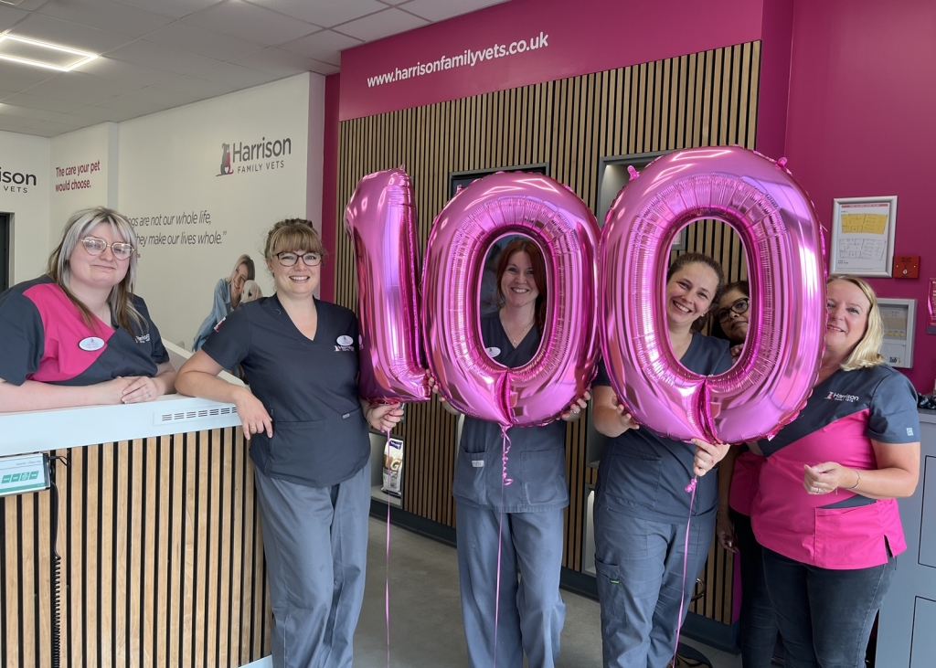 Harrison Family Vets’ 100th team member, Siân Burwood (second from the left) with her colleagues in Kingswinford near Dudley