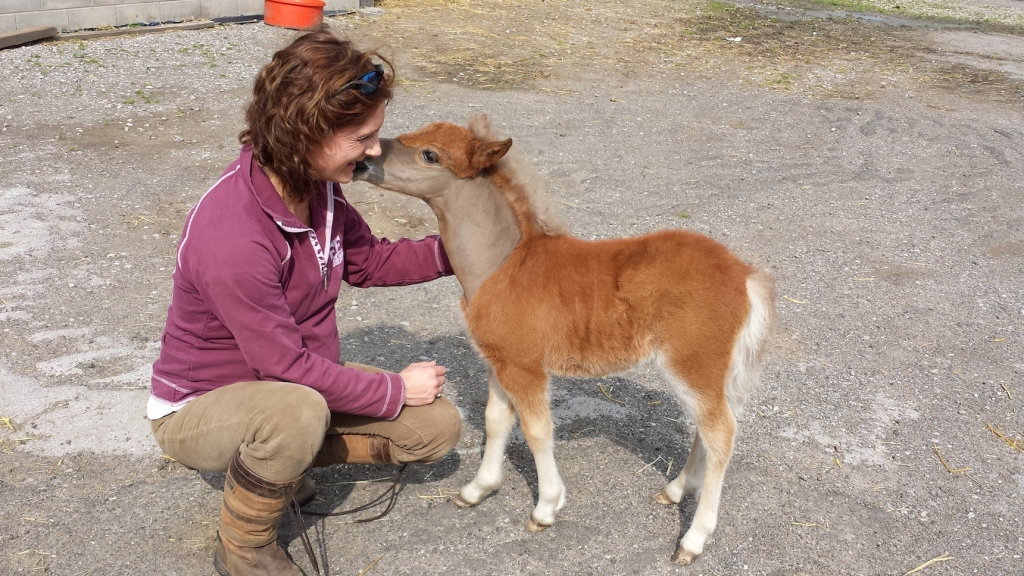 Eight months pregnant Vicki Nicholls with Dandy Farms Marley: four weeks after delivering him