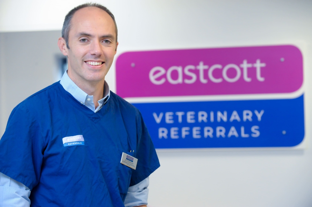 Tim Charlesworth, RCVS Recognised Specialist in Small Animal Surgery and head of surgery at Eastcott Veterinary Referrals