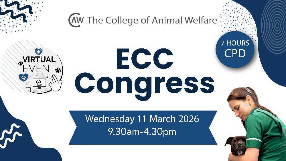 ECC Congress returns on Wednesday 11 March 2026