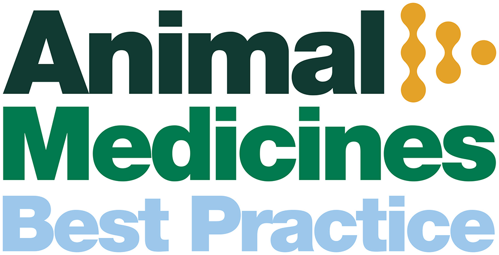 NOAH Best Practices logo