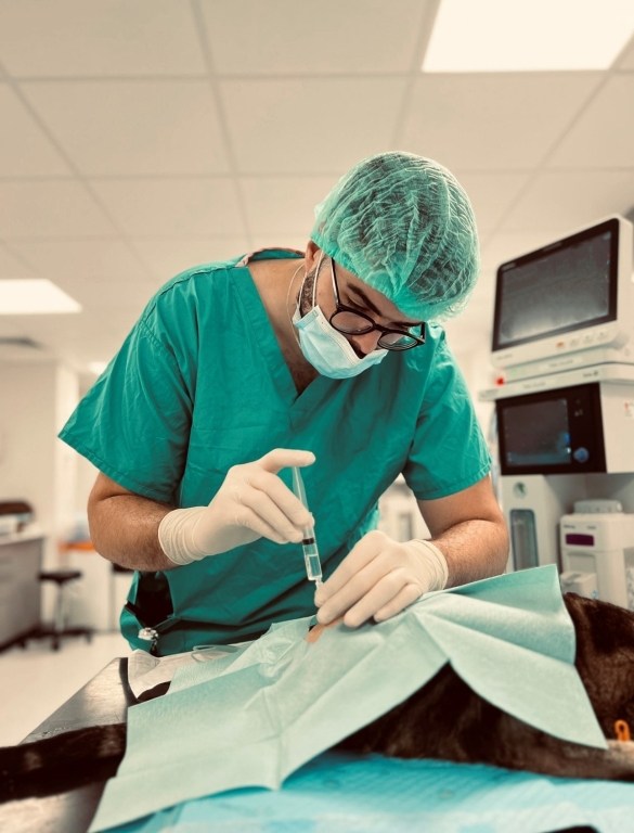 Carlos Millan has joined Linnaeus-owned North Downs Specialist Referrals, in Surrey, as an anaesthesia resident.