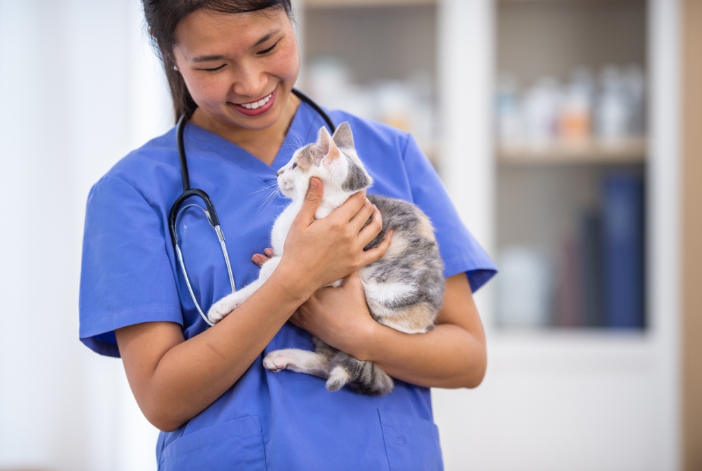 CVS is offering a new Equity, Diversity and Inclusion course to the veterinary profession