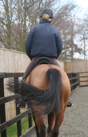 Saddle slip to left crooked canter