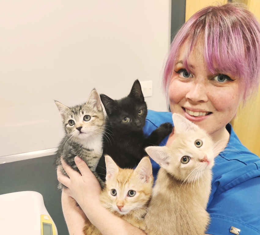 Josceline Cairns is one of the cat advocates at Primrose Hill Veterinary Hospital, in County Dublin, which has been recognised as a silver level cat-friendly clinic.