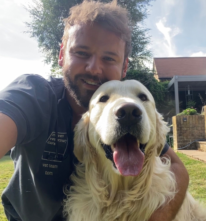 Maven Vets is top dog for canine welfare.