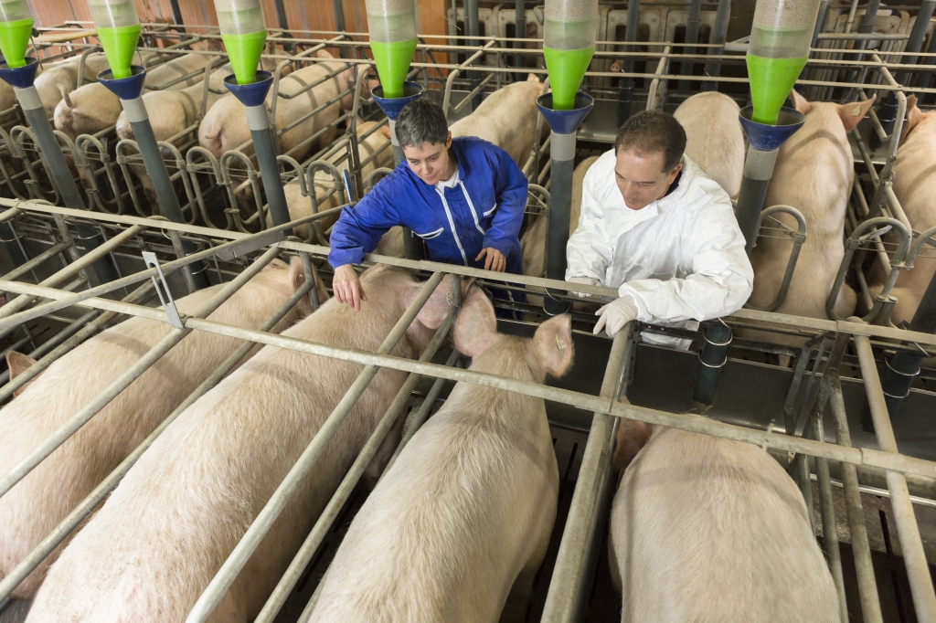 Zoetis Receives European Commission Marketing Authorization for