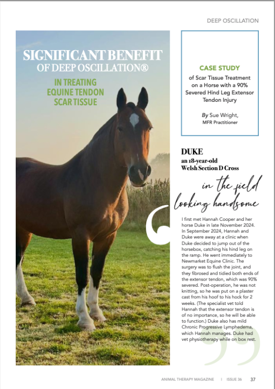 Significant Benefit of DEEP OSCILLATION® in Treating Equine Tendon Scar Tissue