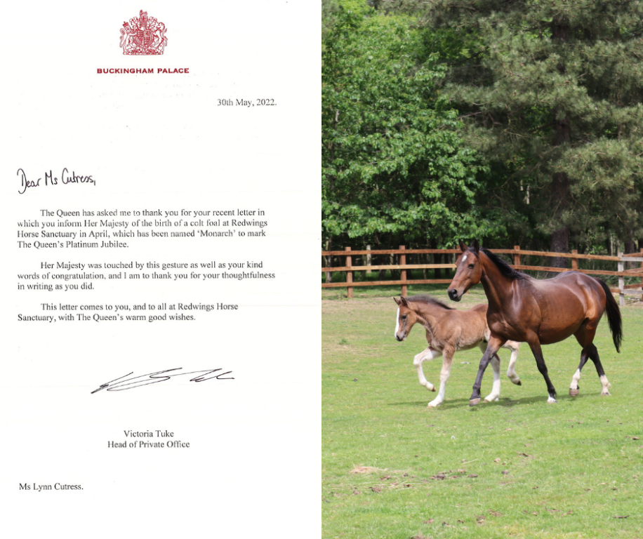 Queen&#39;s letter and picture
