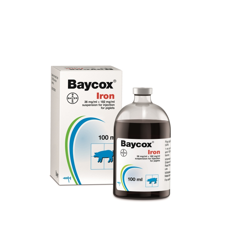 Bayers Baycox Iron Injection helps protect suckling piglets from coccidiosis and iron deficiency with less handling and stress.