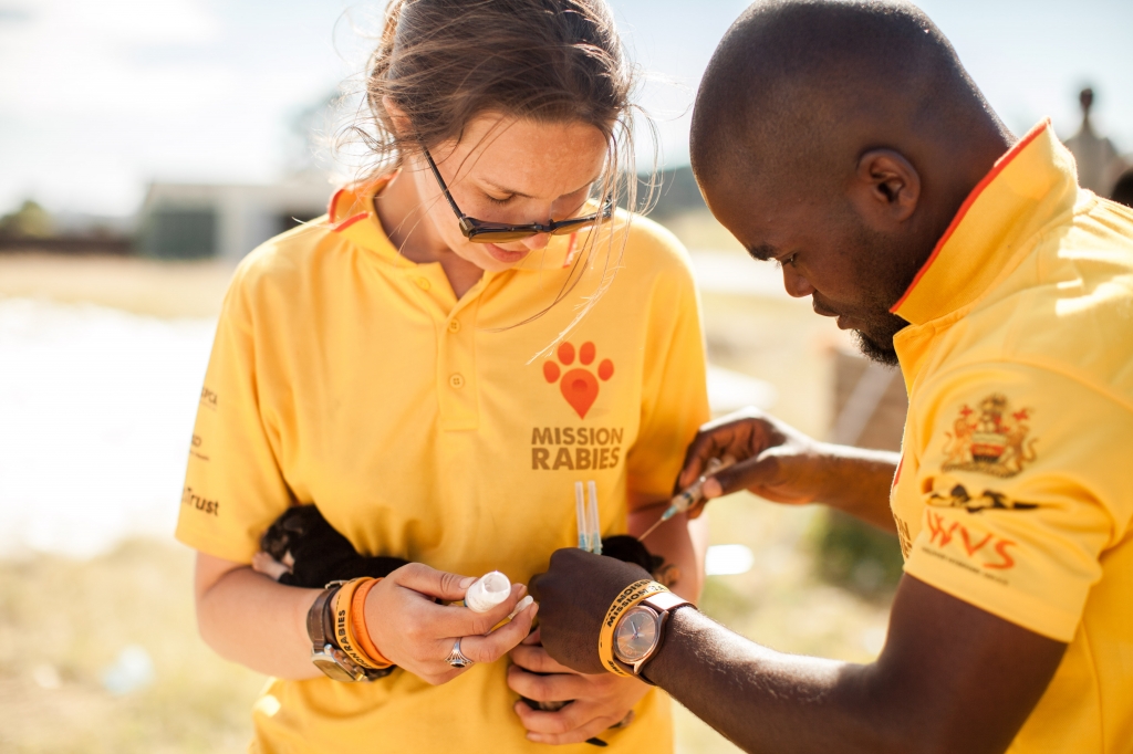 A Mission Rabies Vaccination Drive - kindly supplied by Mission Rabies
