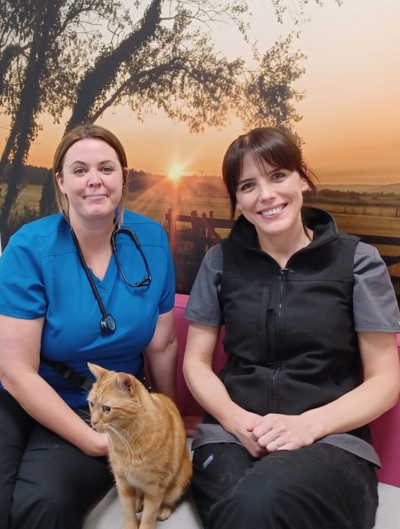 Leanne Doherty and Emma Coogan cat advocates at Northwest Veterinary Specialists.