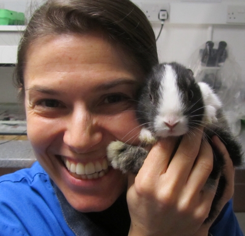 Elisabetta Mancinelli - European Diploma in Zoological Medicine with specialty in Small Mammal holder