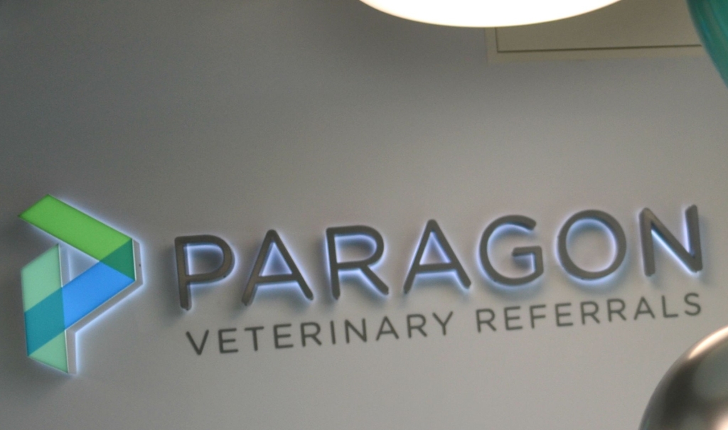 Linnaeus-owned Paragon Veterinary Referrals in Wakefield was presented with a coveted 2023 Antimicrobial Stewardship Champion accolade. 