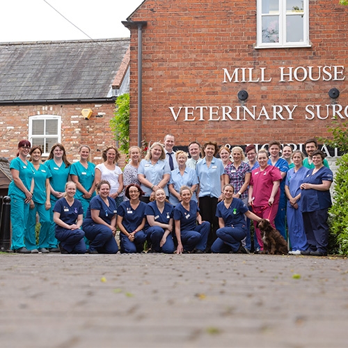 The Mill House Vets Team