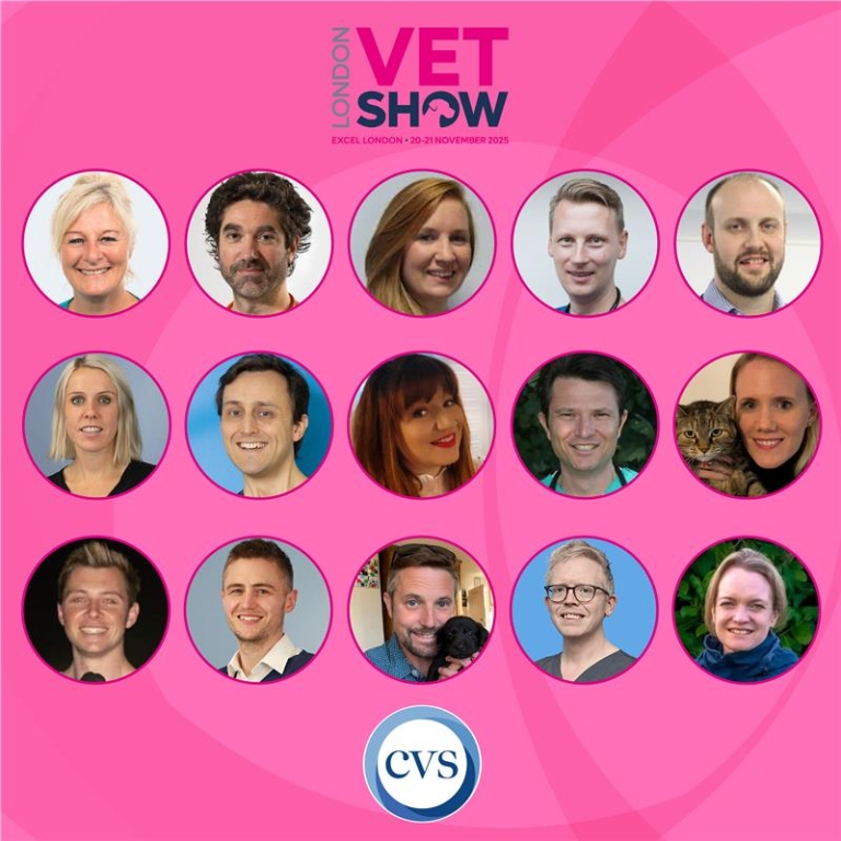 The programme will feature 17 expert speakers from across CVS Group