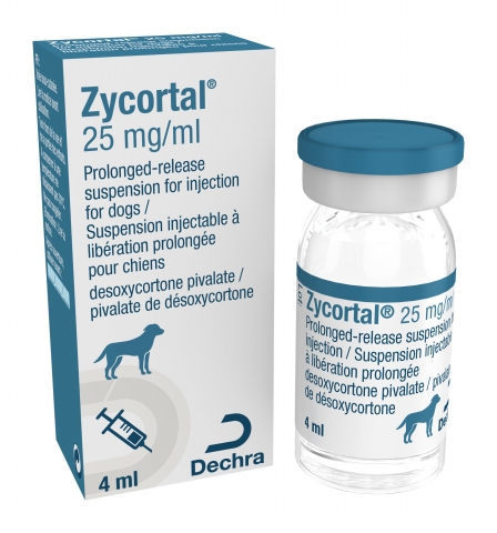 Zycortal 25 mg  ml 