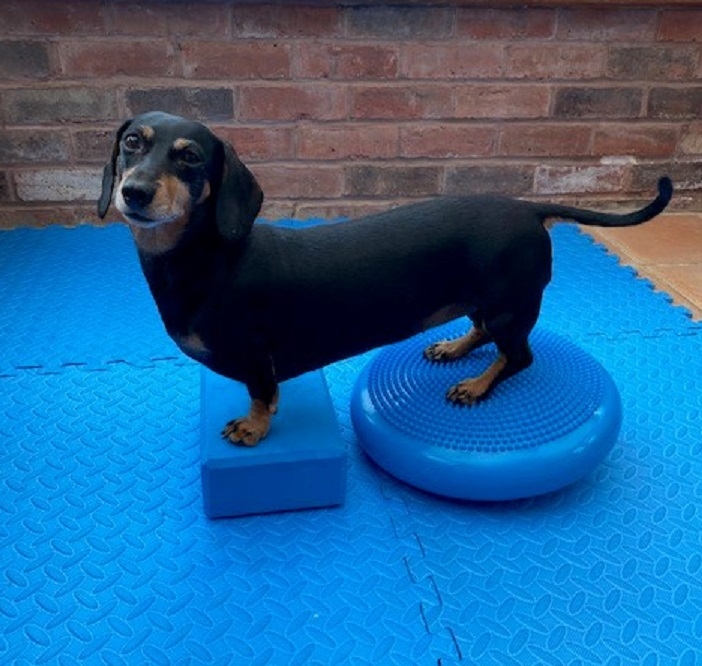 Willows' innovative physio and pilates helps Pip back on paddleboard ...