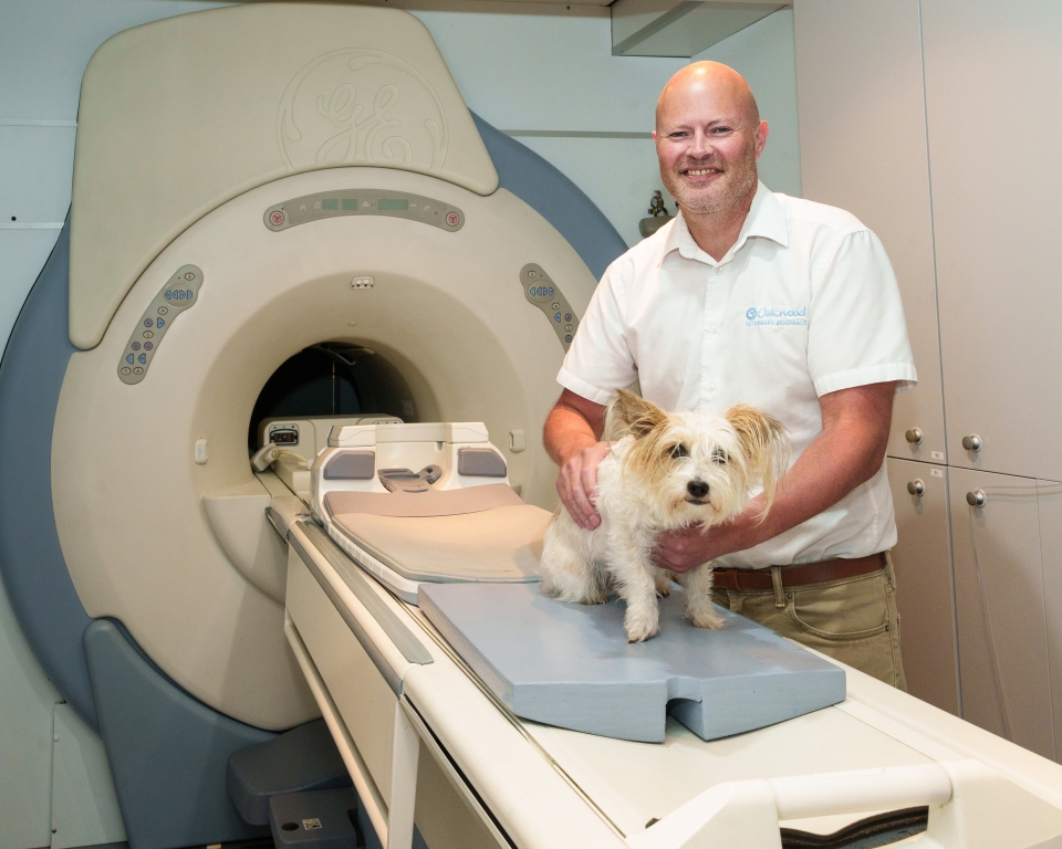 Orthopaedic and spinal surgery specialist Charlie Sale who leads the team of clinicians at Oakwood Referrals, pictured with Ruby and the permanent on-site MRI scanner.