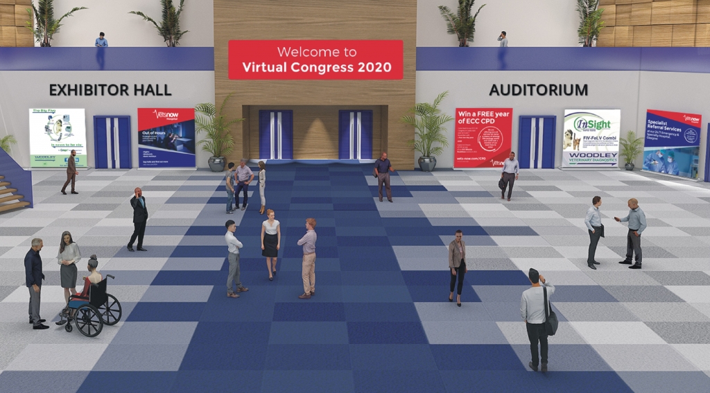 VETS NOW Virtual Congress lobby