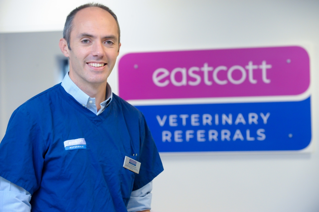 Tim Charlesworth, head of surgery at Eastcott Veterinary Referrals