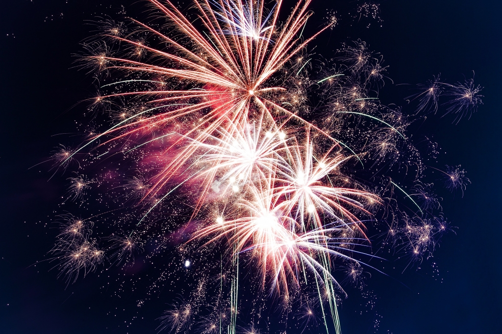 Medivet advice on pet care in the run up to Bonfire Night