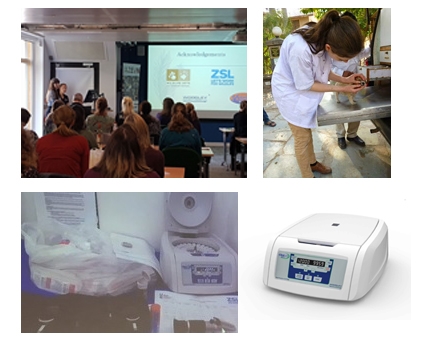 Jivdaya Charitable Trust India Project - "A Project Studying Prognostic Indicators in Wild Birds with Traumatic Injuries"