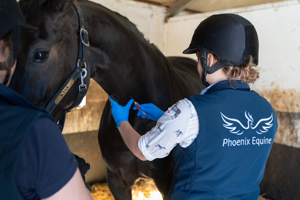 CVS Equine is rolling out a five-point plan across its 22 sites