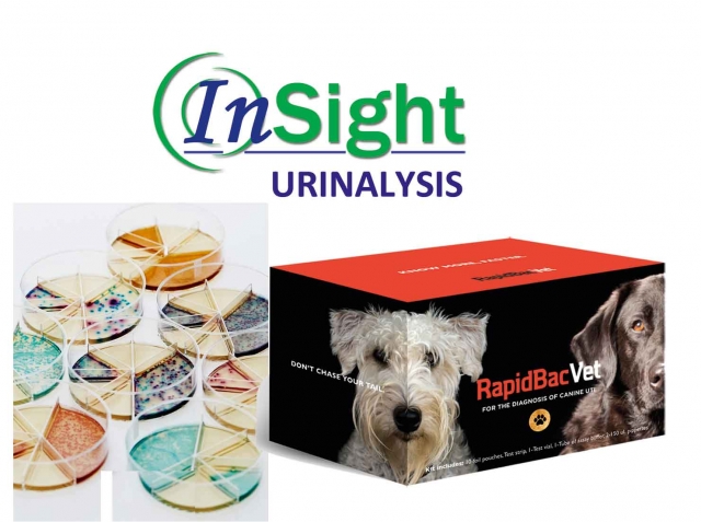 Woodley Equipment launch the Most 'Complete' Urinalysis Testing with InSight Urinalysis