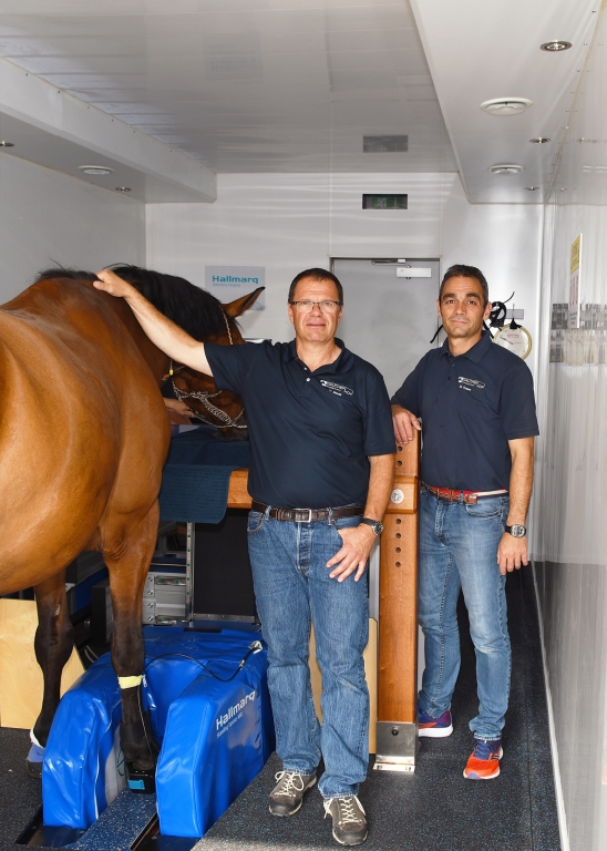 Leading vets and practice owners Dr. Martin Stoeckli and Dr. Diego Gygax scan their first horse in Hallmarqs Standing MRI system